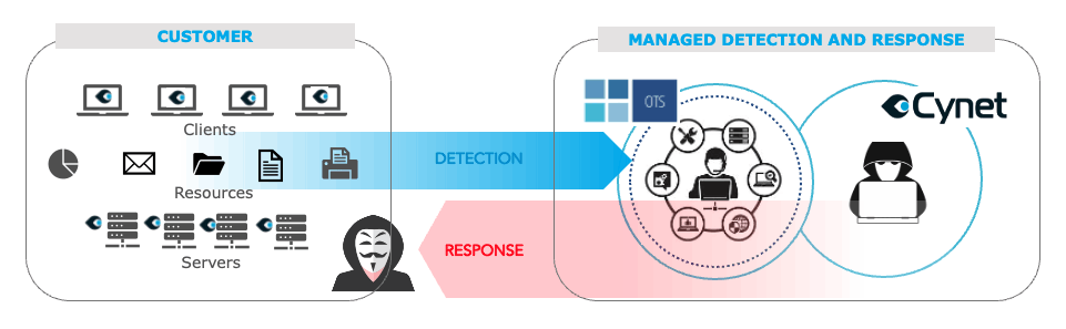 Schema Detection & Response