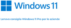 Windows 11